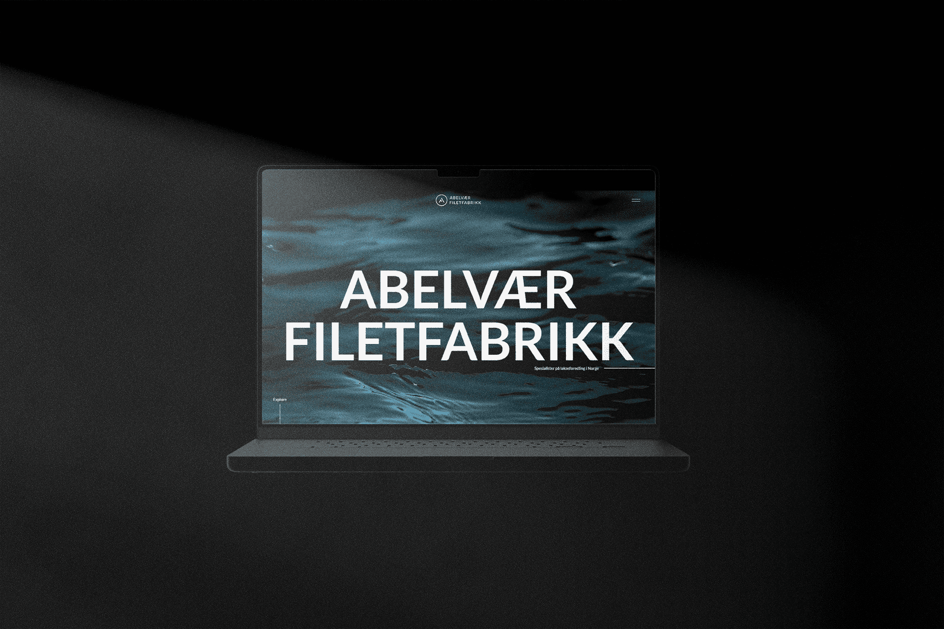 Strona dla producenta ryb Abelvaer