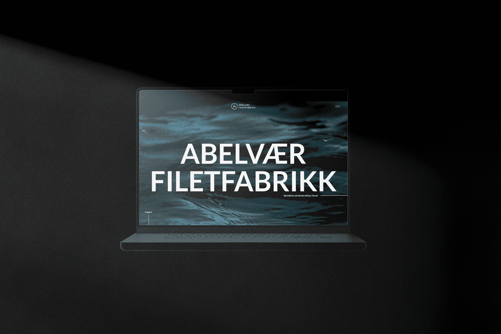 Strona dla producenta ryb Abelvaer