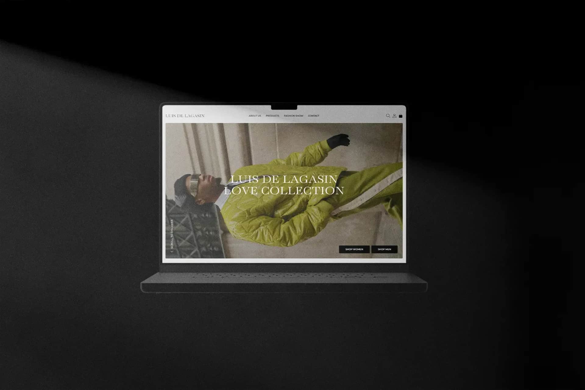 E-commerce dla Luis de lagasin